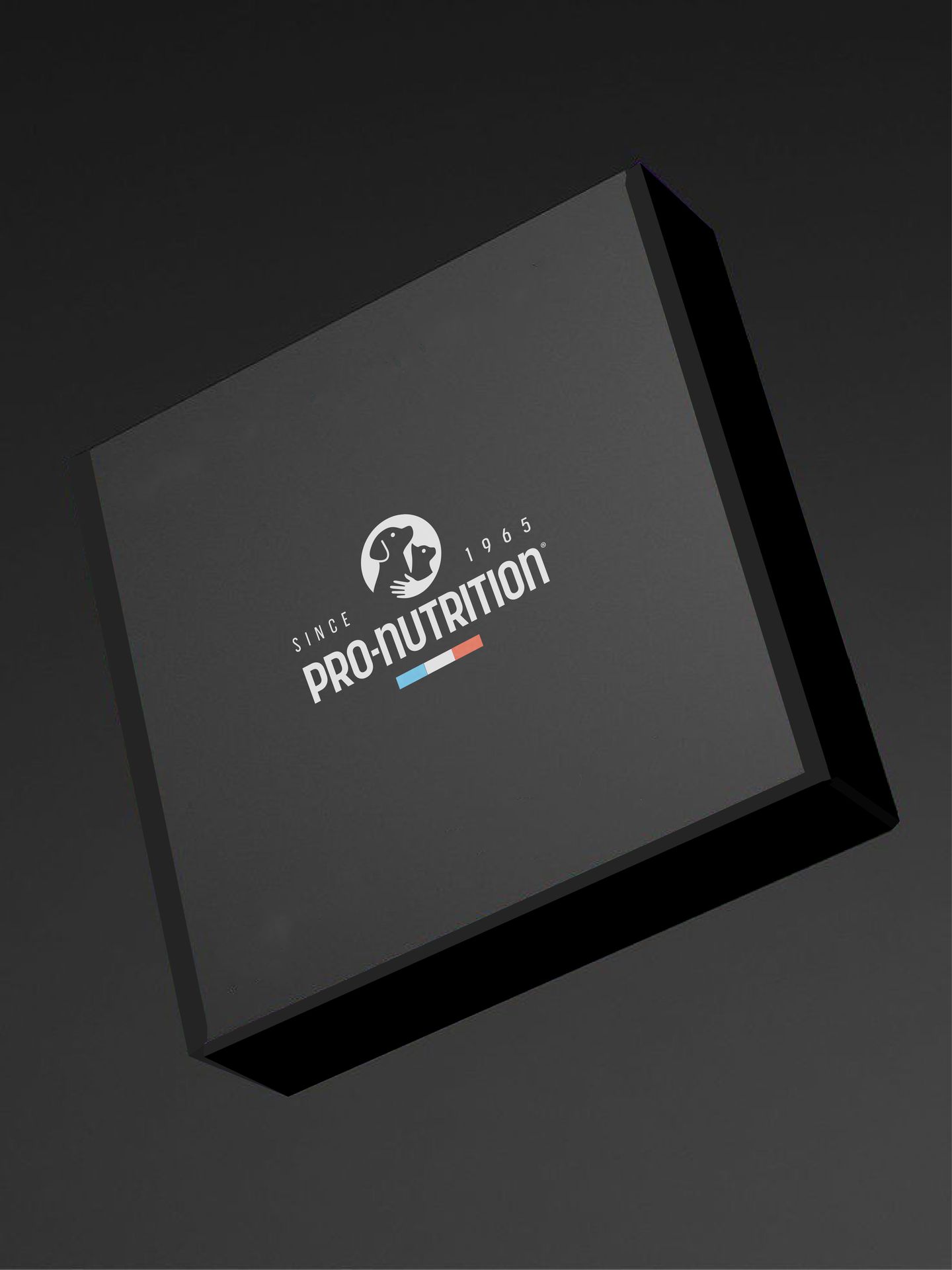 Project Twelve